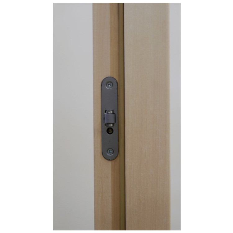 Дверь для бани и сауны Tesli Steel RS 2000 х 783